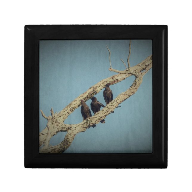 3 Crows Gift Box (Front)
