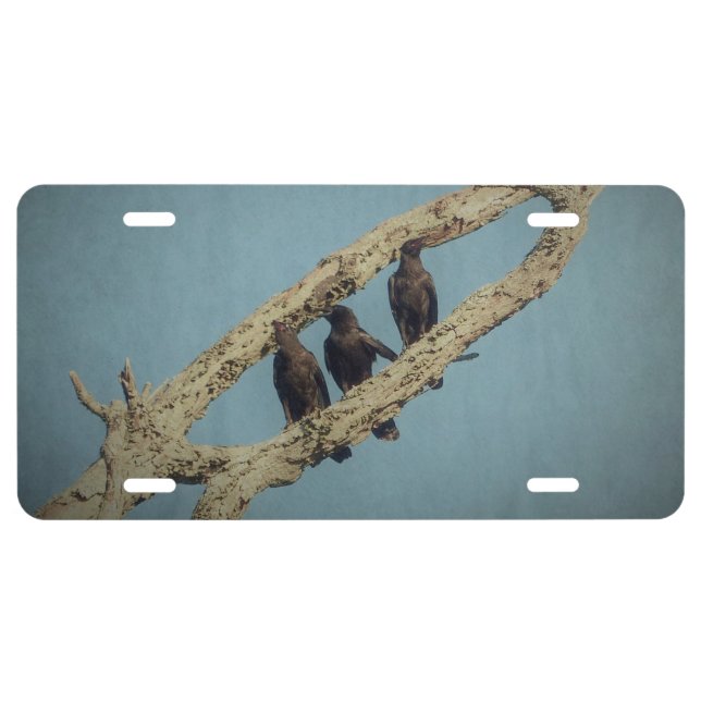 3 Crows License Plate (Front)
