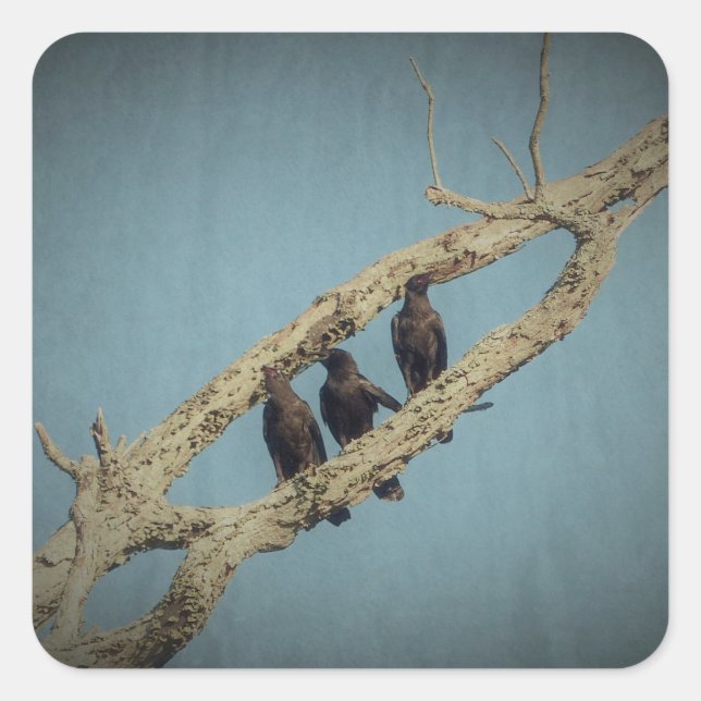 3 Crows Stickers (Front)