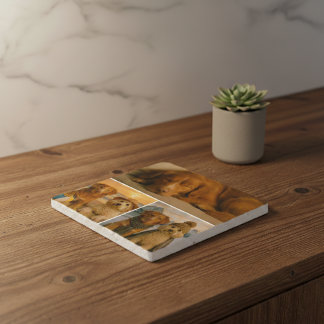 3 Custom photo personalized collage Trivet