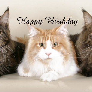 3 Cute Kittens Cake Topper 3 Cute Kittens Cake Topper