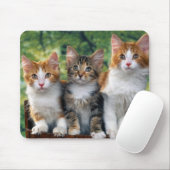 3-cute-kittens-with-nature-backgrounds_jpg mouse pad (With Mouse)