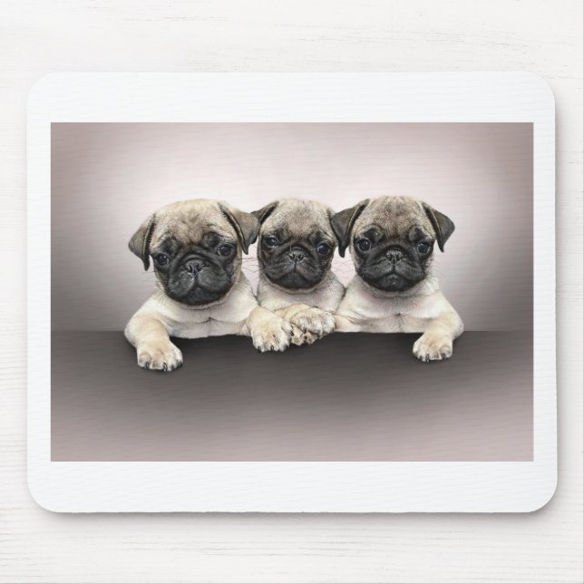 3 Cute Pug Pippies Mouse Pad (Front)