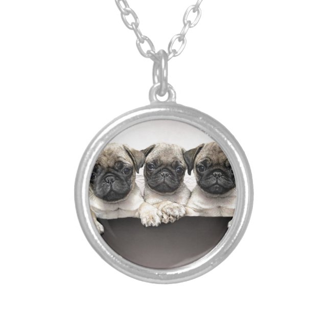 3 Cute Pug Pippies Silver Plated Necklace (Front)