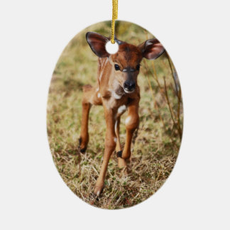 3 day old baby Nyala deer Ceramic Ornament
