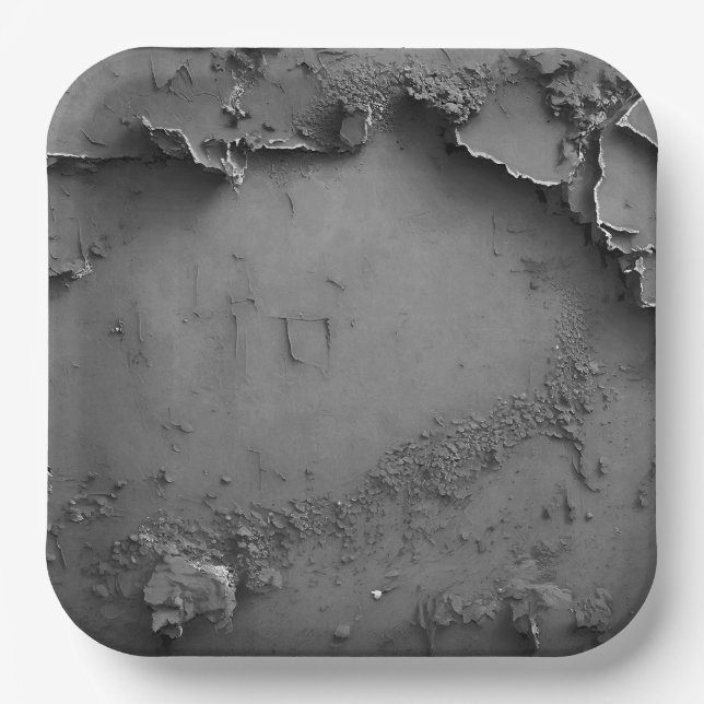 3 Dimensional Gray Rustic Design Paper Plates (Front)