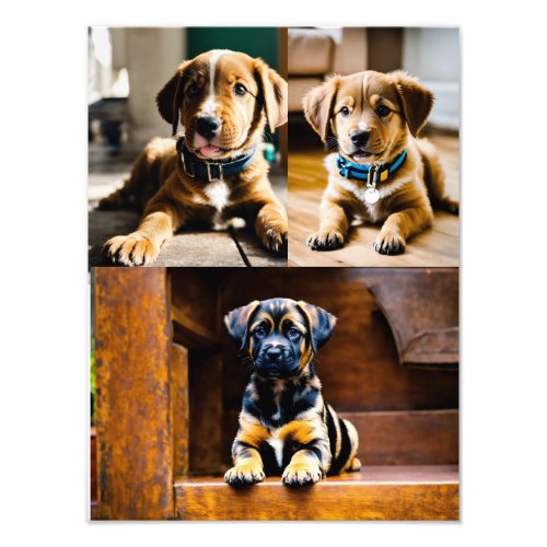 3 Dog Photo Print