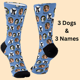 3 Dogs & 3 Names Personalized Pet Photos on Blue Socks
