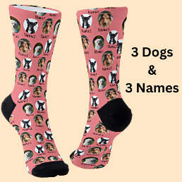 3 Dogs &amp; Names Personalized Pet Photos on Pink Socks