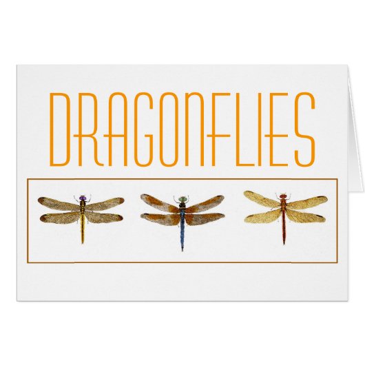 3 Dragonflies. (Front Horizontal)