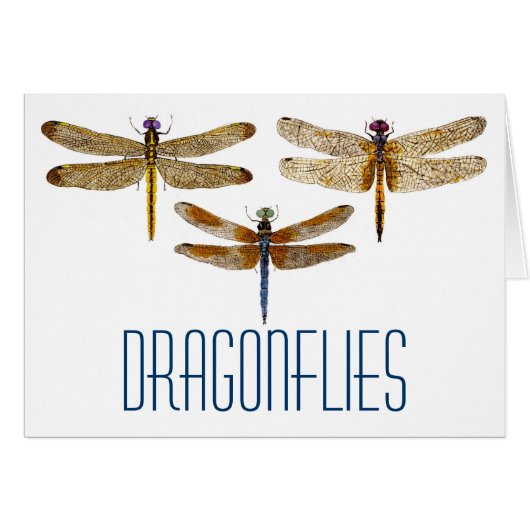 3 Dragonflies (Front Horizontal)