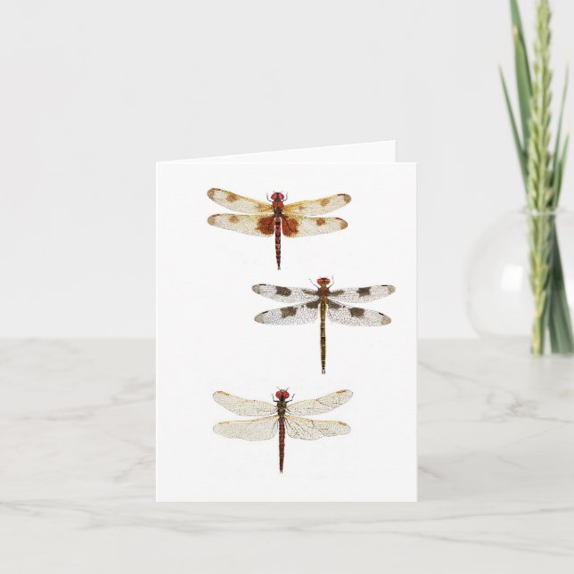 3 Dragonflies Card (Front)