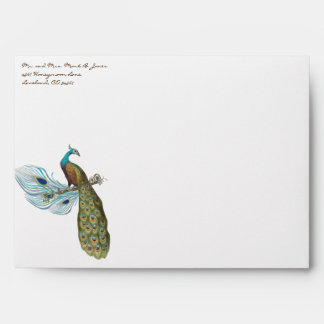 3 Feathers Vintage Peacock Wedding Envelopes