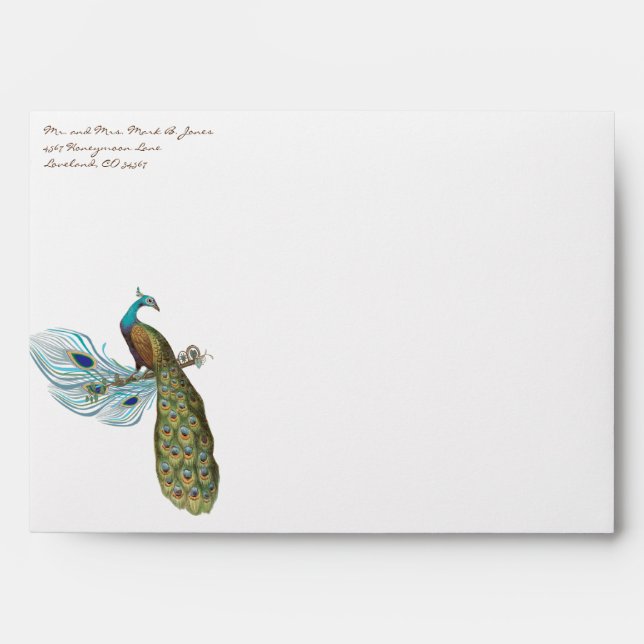 3 Feathers Vintage Peacock Wedding Envelopes (Front)