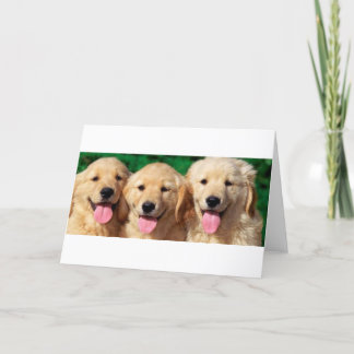 3 Friends Card