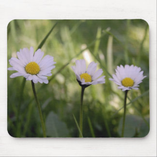 3 Gänseblümchen Mouse Pad