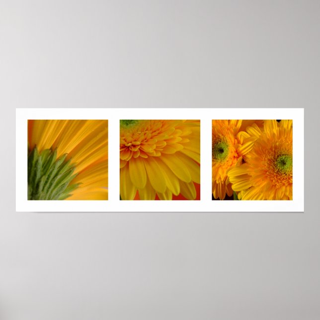 3 Gerberas Poster (Front)