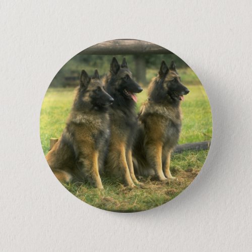 3_German Shepherds Button
