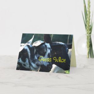 3 Goat Kids- customize any occasion Card
