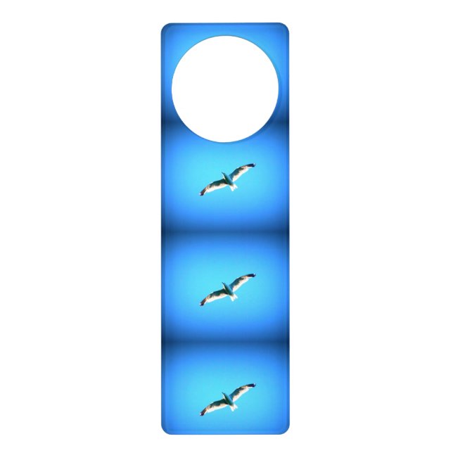 3 gulls soaring blue hanger (Front)