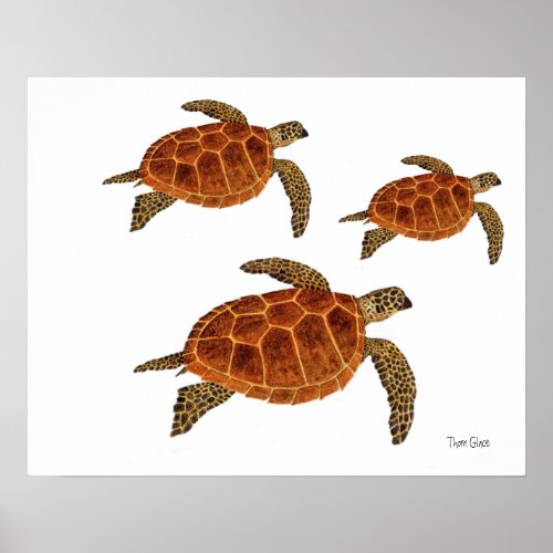 3 Hawksbill Turtles Poster