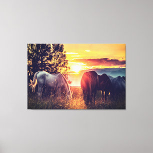 *~* 3 Horses AR22 Wild Mustangs Sunset Equine Canvas Print
