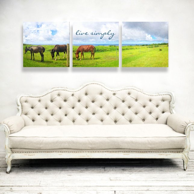 3 Horses Grazing Photo Tryptic Live Simply Script Canvas Print (Creator Uploaded)