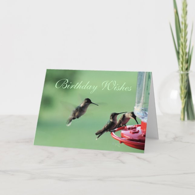 3 Hummingbirds at feeder- customize any occasion Card (Front)