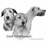 3 Irish Wolfhound heads Statuette<br><div class="desc">head study of three lovely wolfhounds</div>