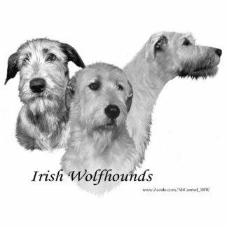 3 Irish Wolfhound heads Statuette