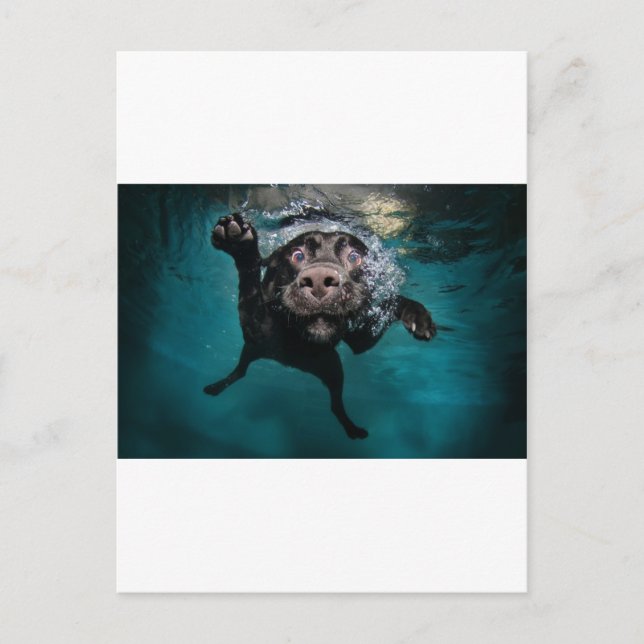 3.jpeg postcard (Front)