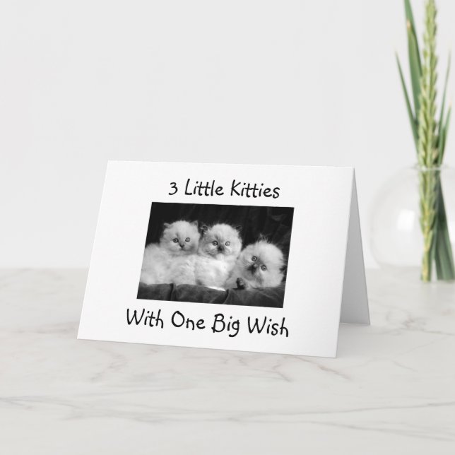 3 KITTIES WITH ONE BIG WISH-HAPPY 1st BIRTHDAY Card (Front)