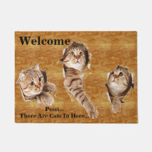 3 Kitty Cat Feline Kittens Tearing Through Welcome