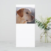 3 Labrador_Retriever (Standing Front)