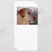 3 Labrador_Retriever (Front/Back)