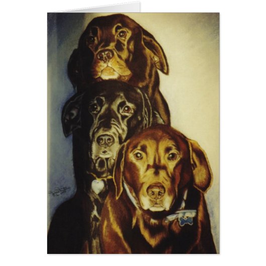 "3 Labradors" Cards (Front)