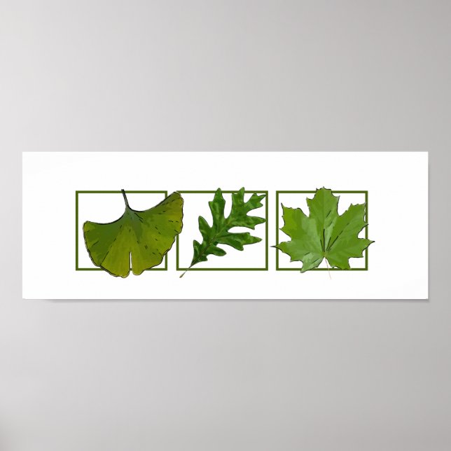 3 leaves poster (Front)