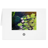 3 Lilies Cards (Back Horizontal)