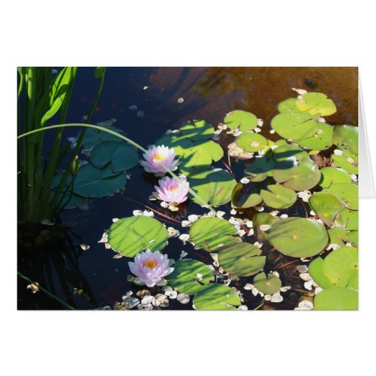 3 Lilies Cards (Front Horizontal)