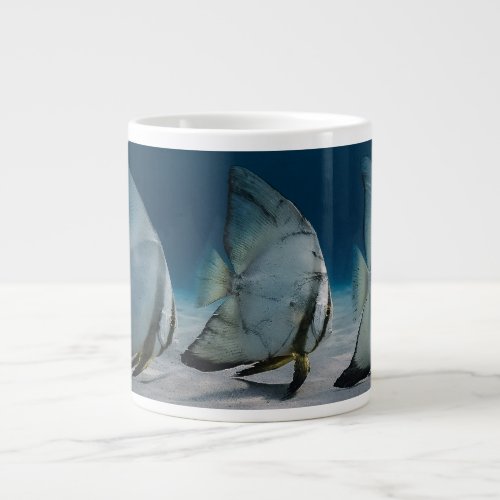 3 little Batfish Giant Coffee Mug