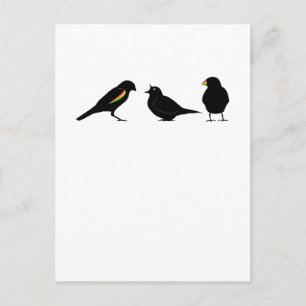 3 little birds by erndub postcard