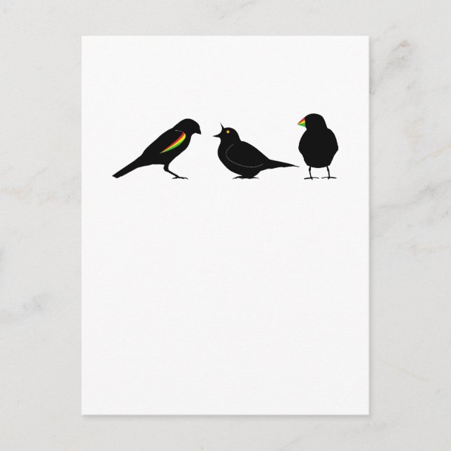 3 little birds by erndub postcard (Front)