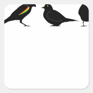 3 little birds by erndub square sticker
