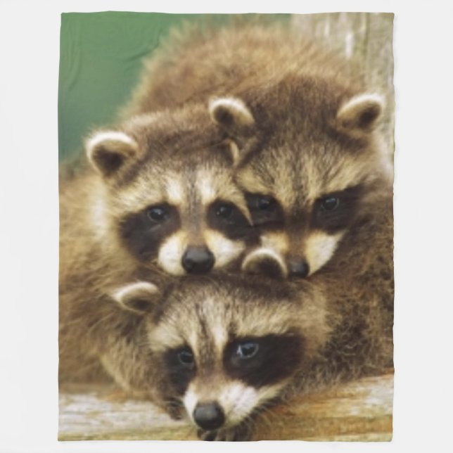3 LITTLE RACCOONS FLEECE BLANKET (Front)