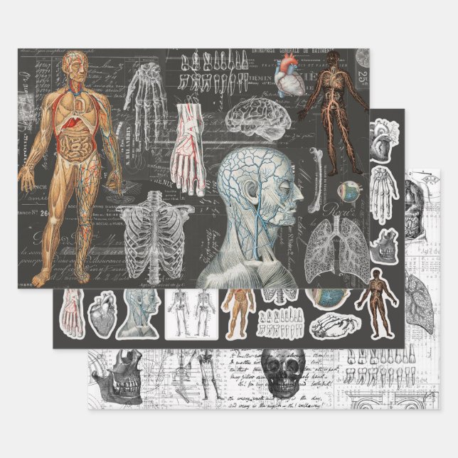 3 Medical Body Halloween Collage Ephemera Sheets (Set)
