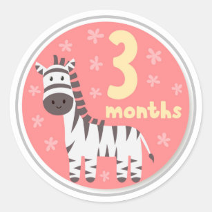 Baby Month Stickers - 177 Results