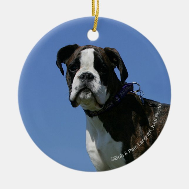 3 Month Old Boxer Puppy Ceramic Ornament (Front)