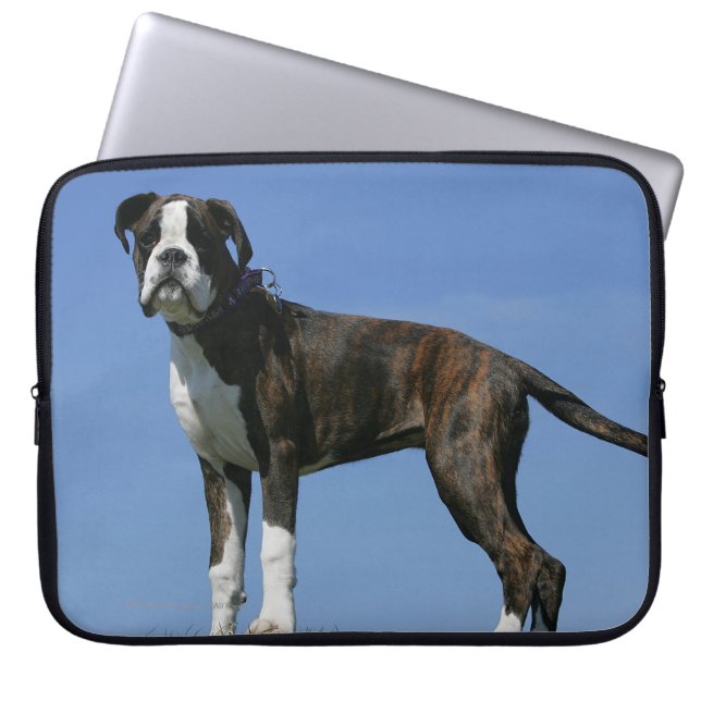 3 Month Old Boxer Puppy Laptop Sleeve (Front)