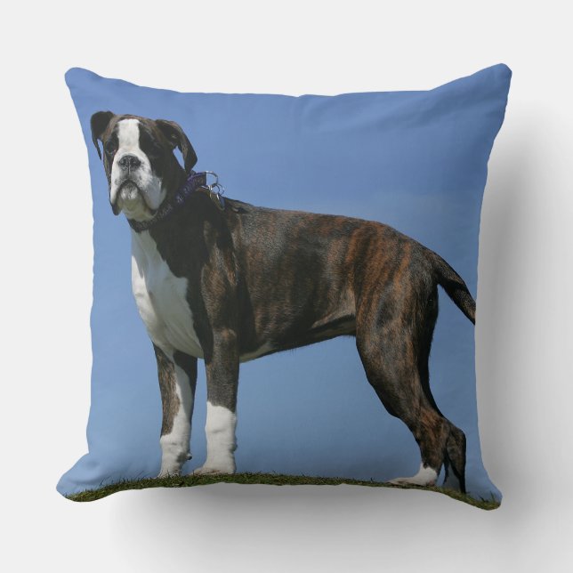 3 Month Old Boxer Puppy Throw Pillow (Front)
