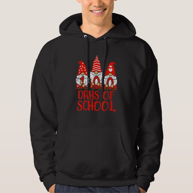 3 Nordic Gnomes 100 Days Of School 100th Day Teach Hoodie (Front)